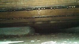 Crawl Space Dehumidification
