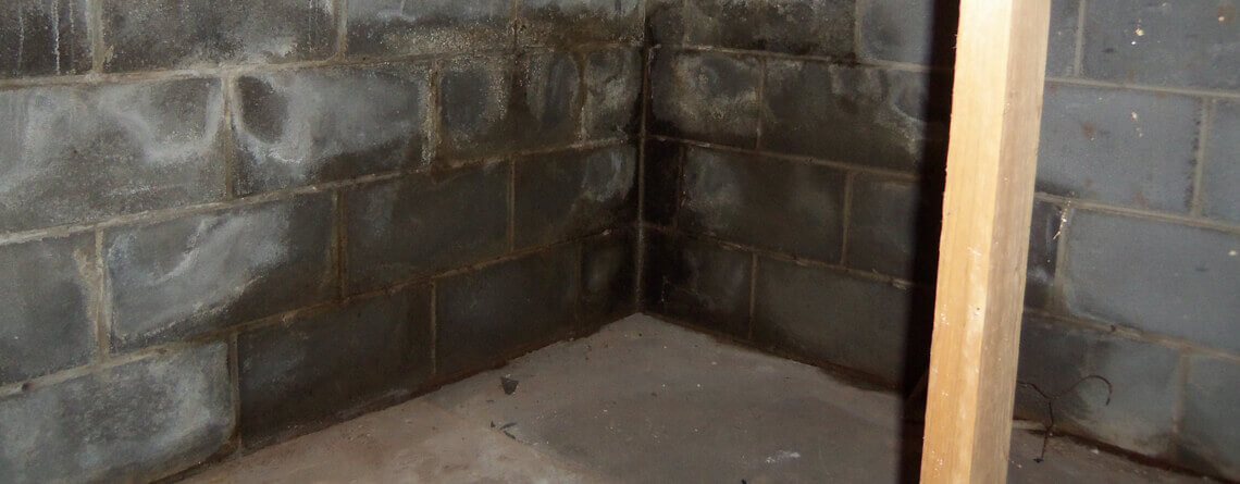 Wet Basement Wall Repair | Waterproofing | SouthernDry of Alabama Wet Basement Wall Repair and Waterproofing